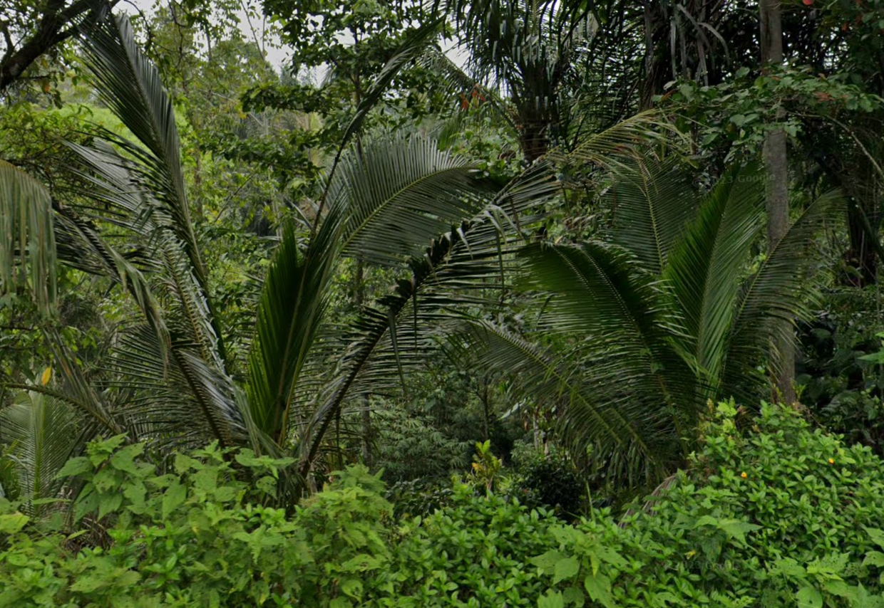 DIJUAL TANAH & BANGUNAN 10 ARE TABANAN