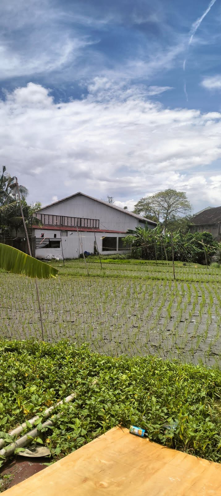 DISEWAKAN TANAH 12 ARE DALUNG – LOKASI STRATEGIS